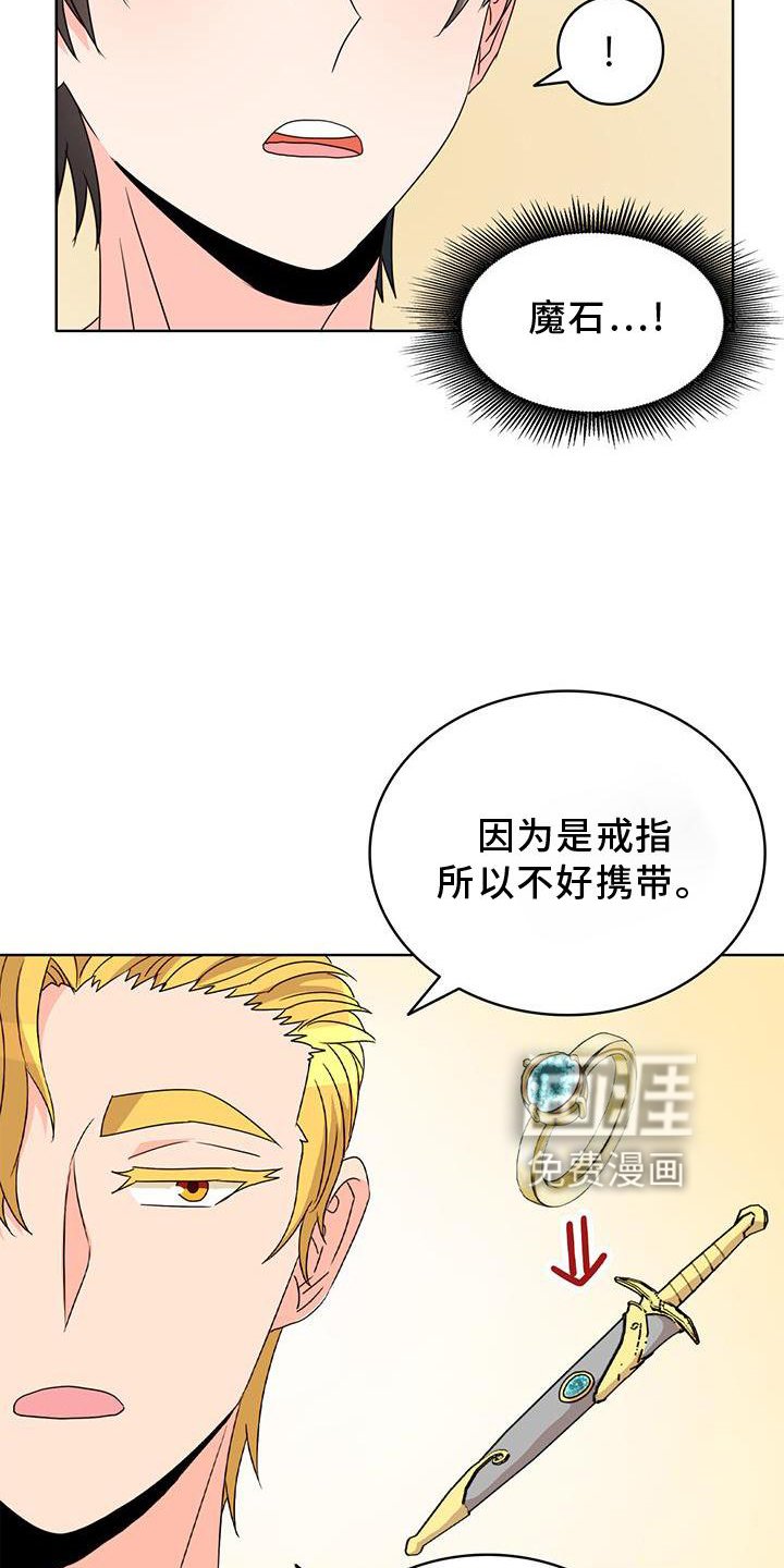 第39章：魔石