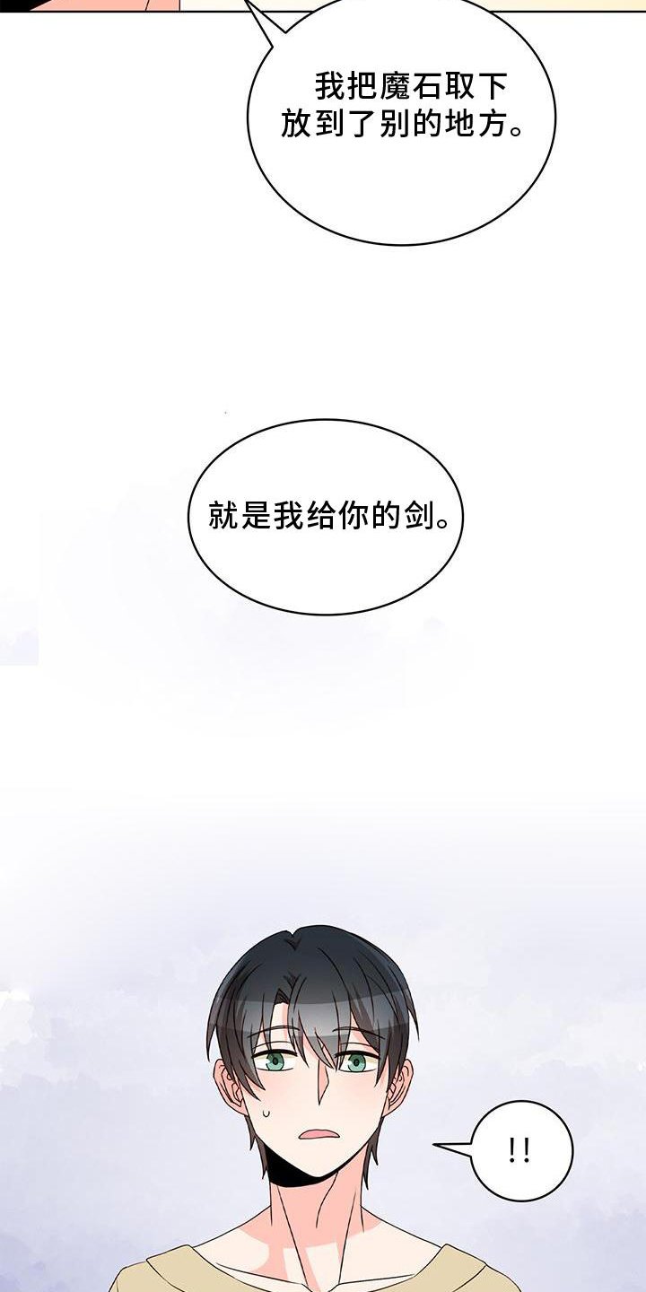第39章：魔石