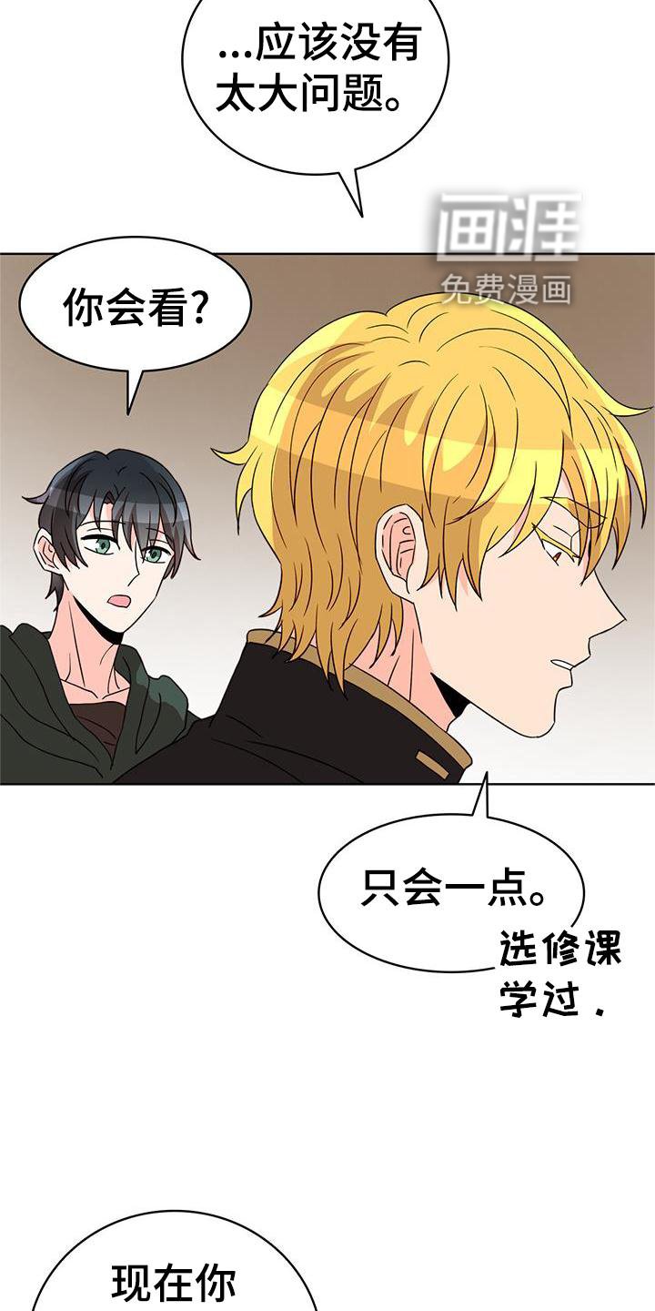 第48章：痊愈