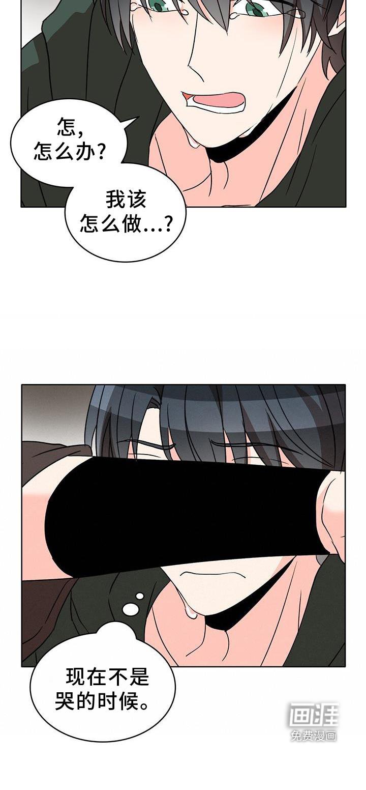第50章：漂亮