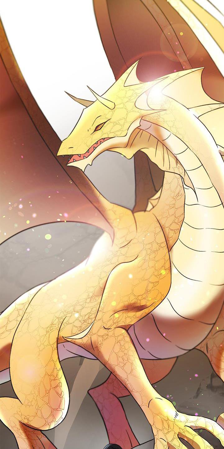 第50章：漂亮