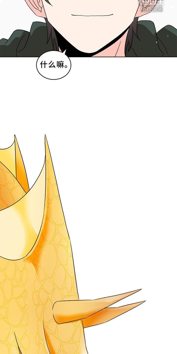 第50章：漂亮