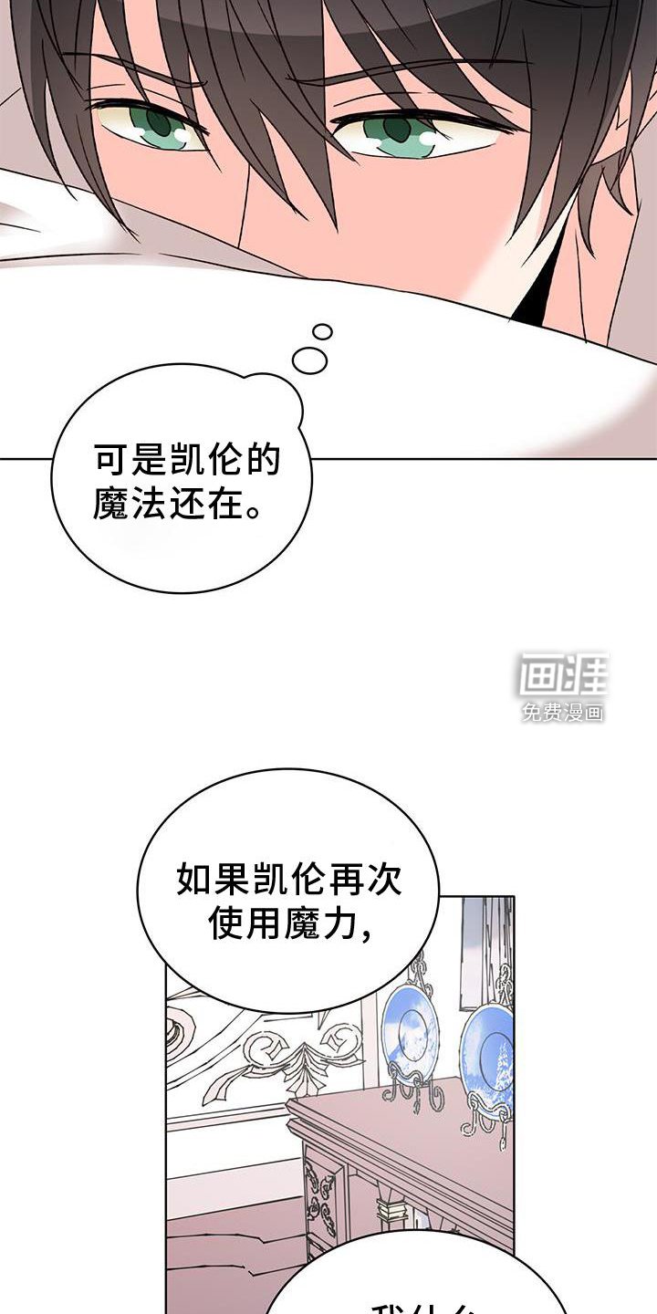 第51章：作用