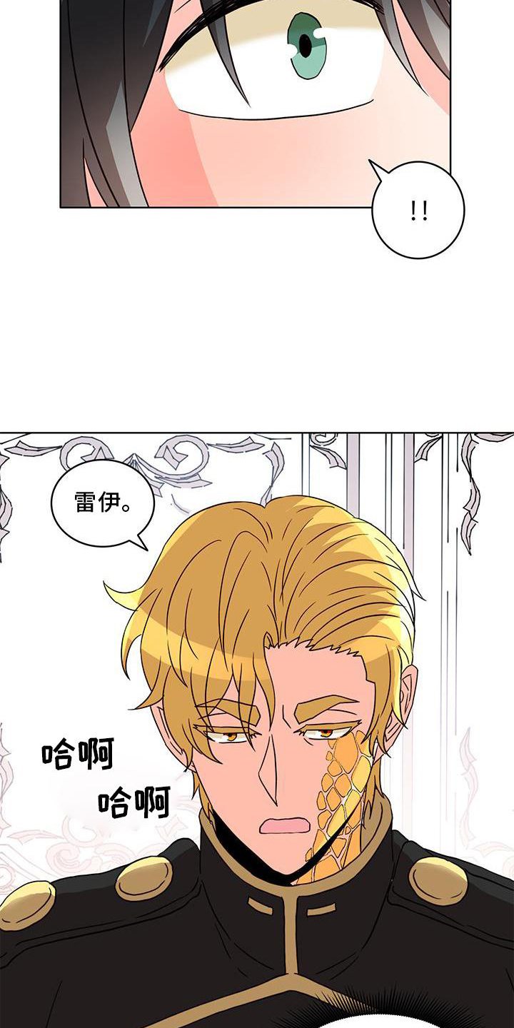第51章：作用