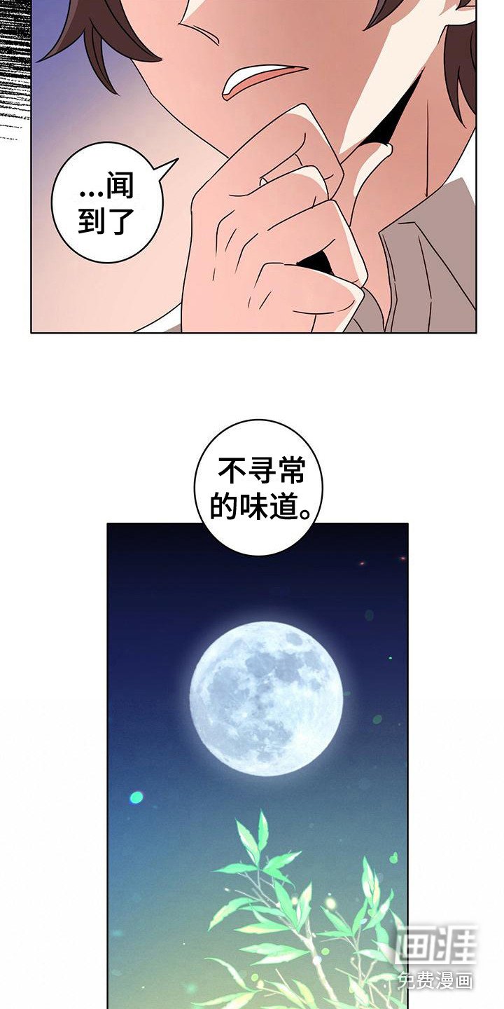 第6章：不寻常