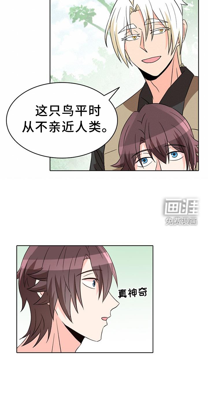 第63章：【第二季】安慰