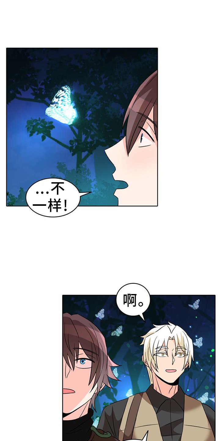 第66章：【第二季】萤火虫