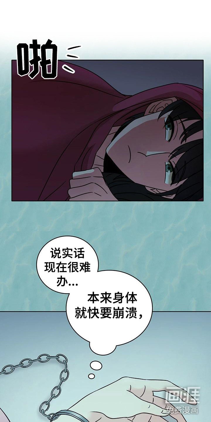 第7章：龟裂消失 