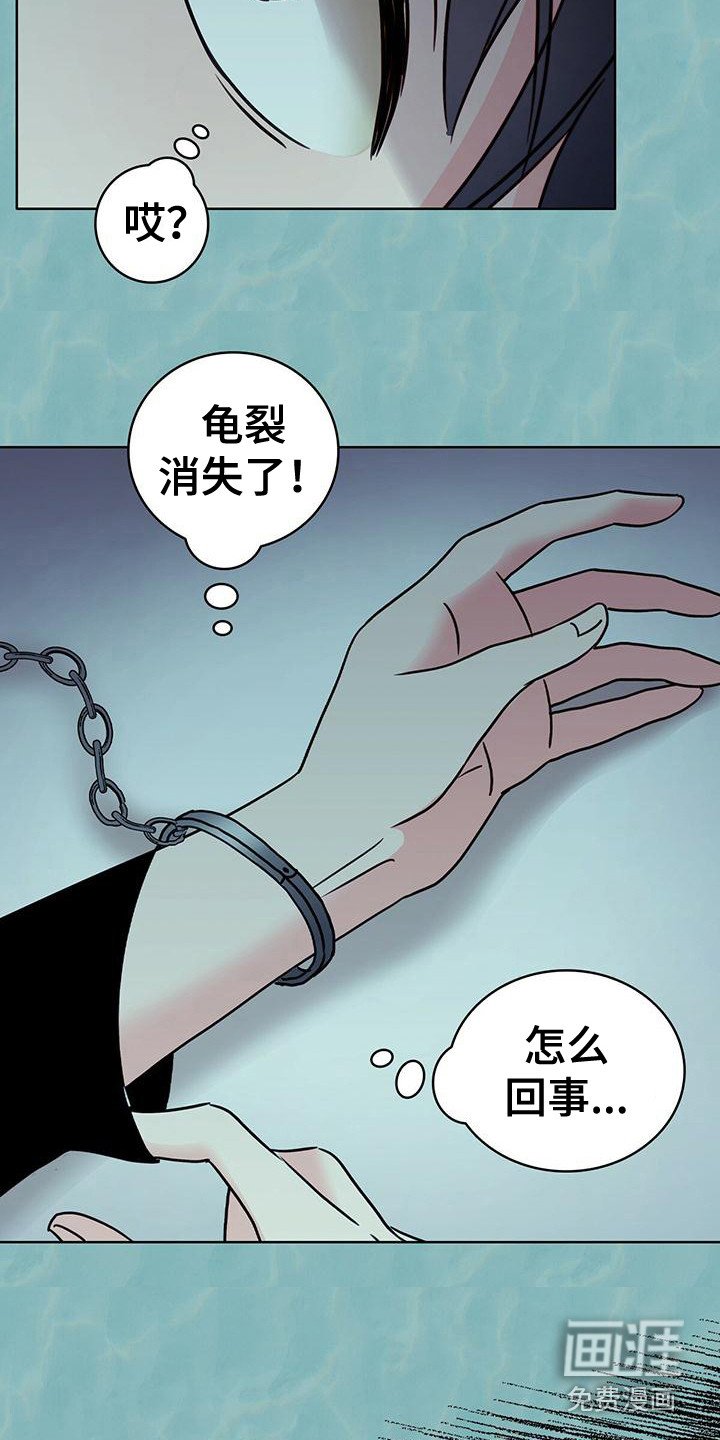 第7章：龟裂消失 