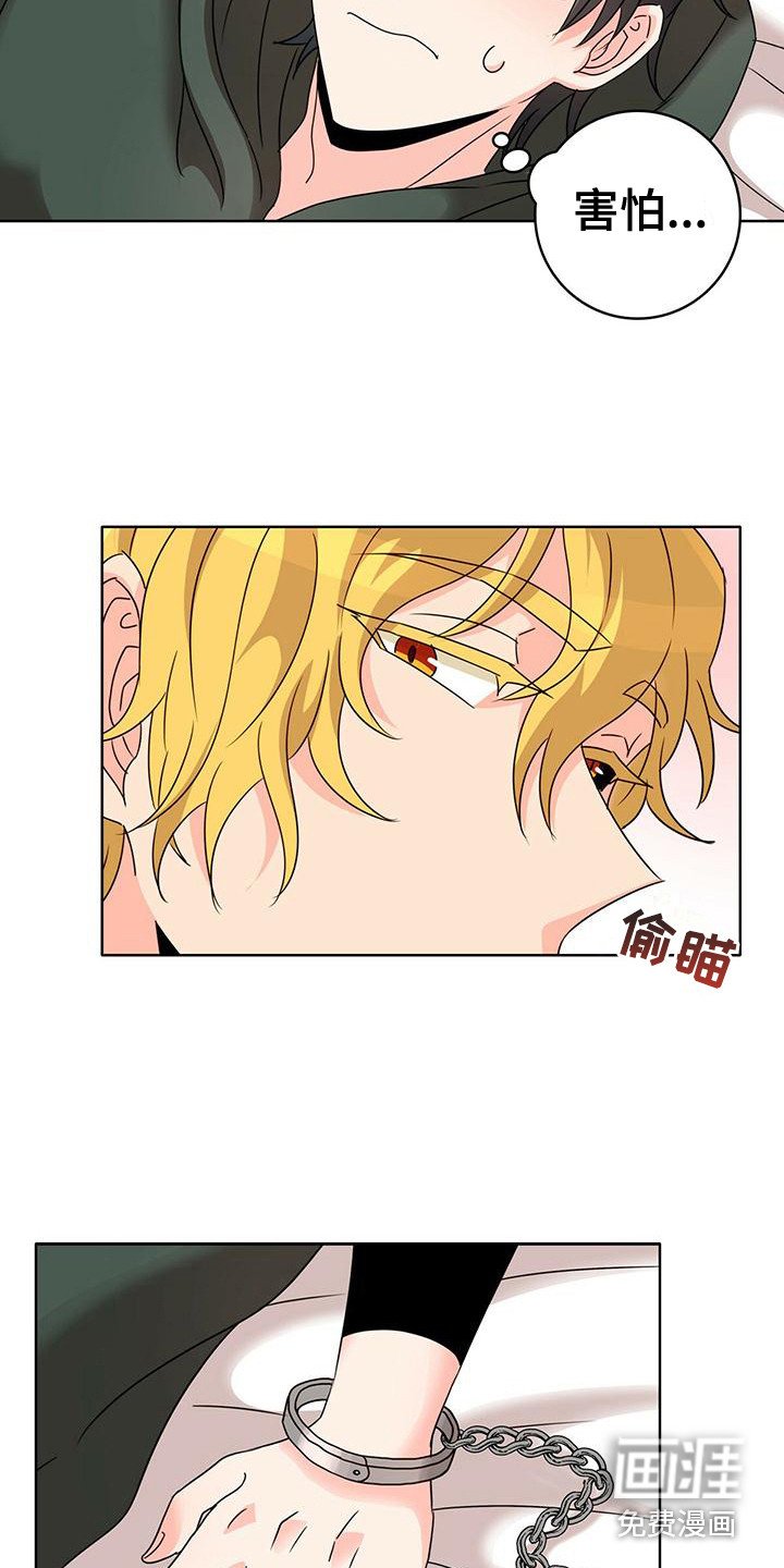 第8章：痛苦 