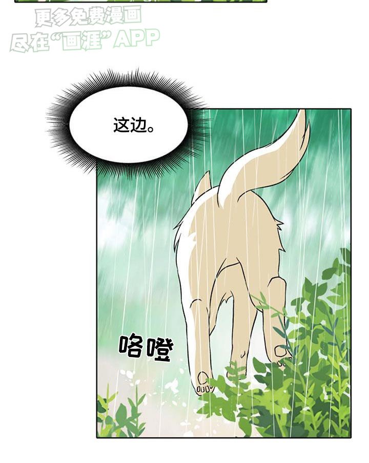 第81章：【第二季】你没事吧