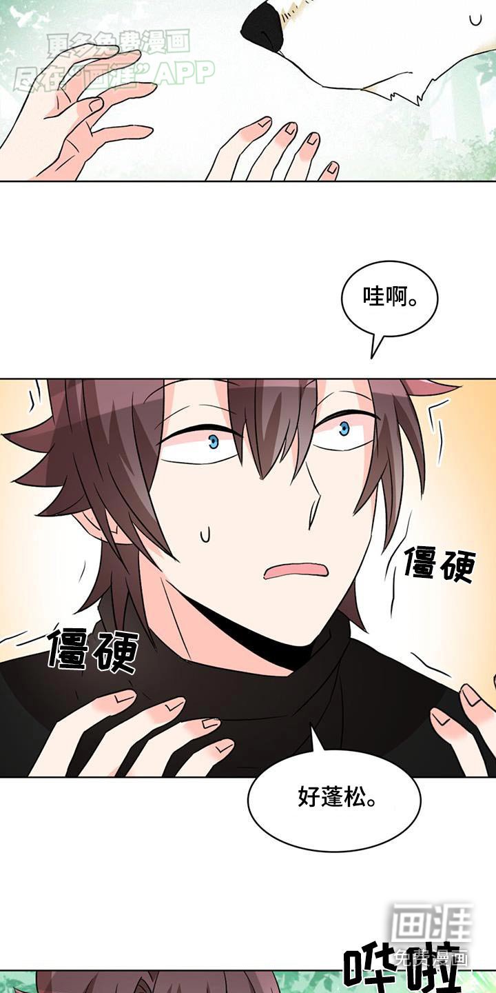 第83章：【第二季】绝不原谅