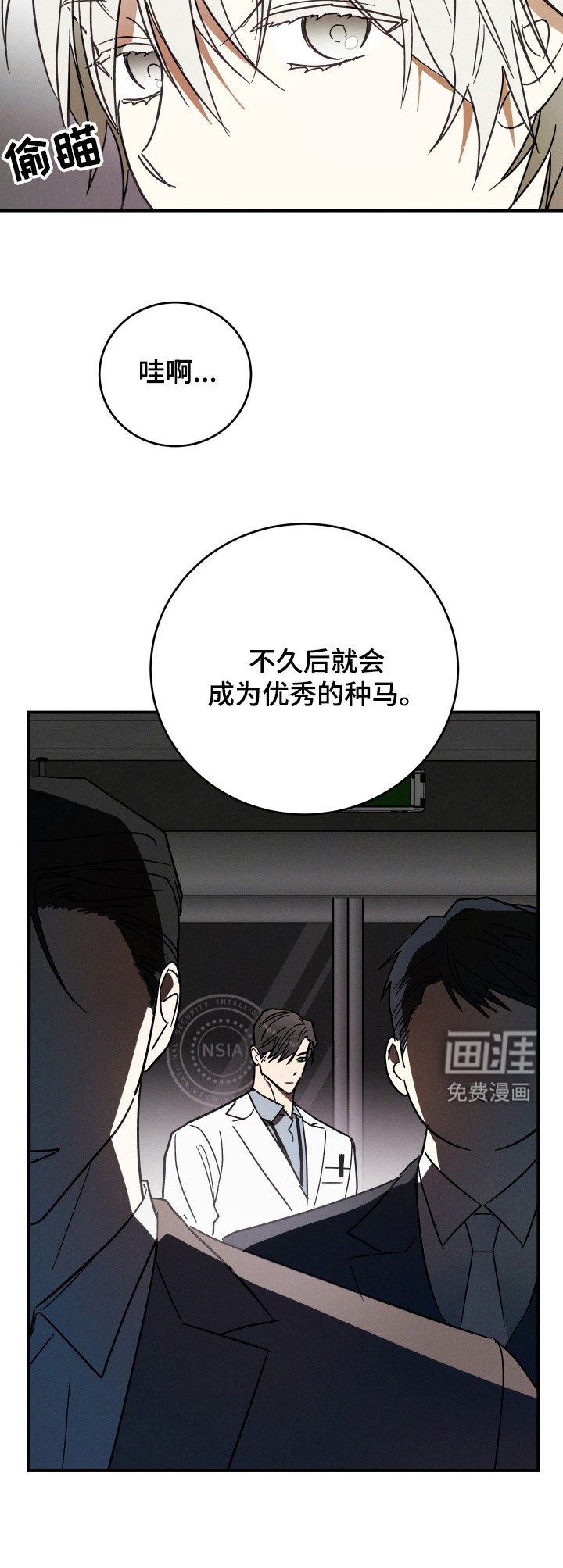 第1章：实验体