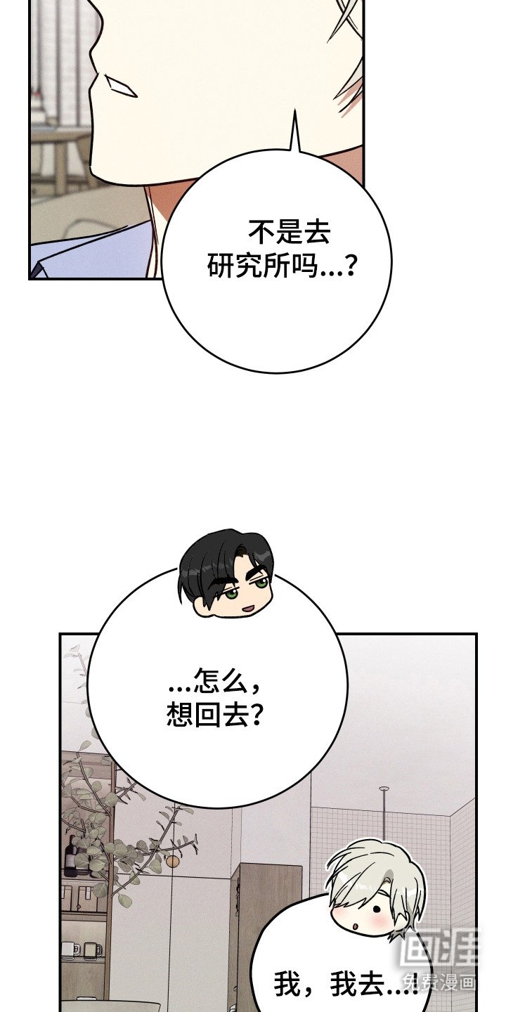 第10章：直直盯着