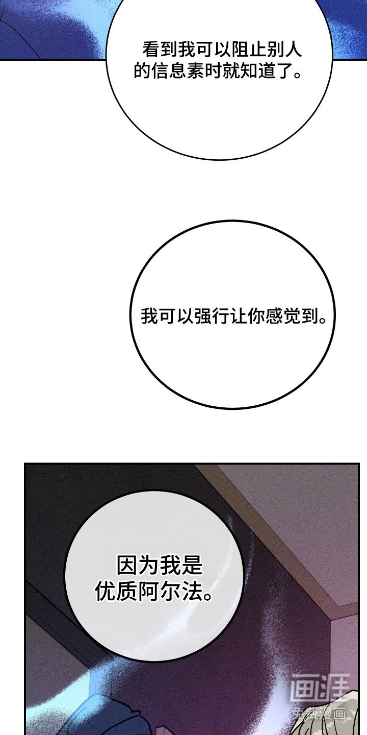 第13章：信息素