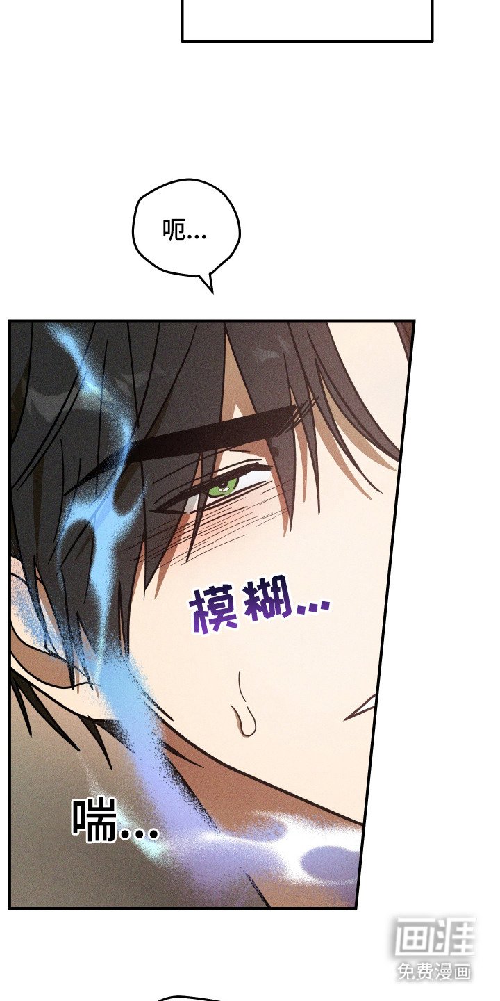 第13章：信息素