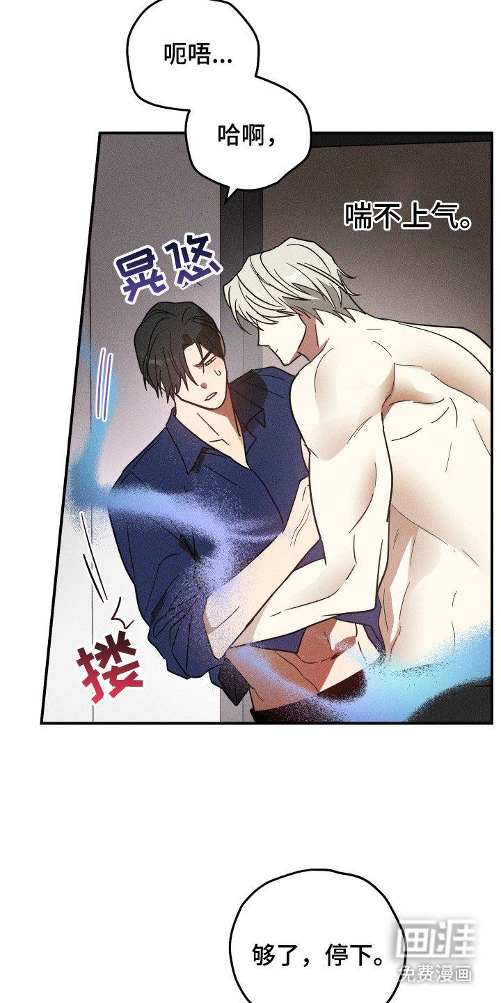 第13章：信息素