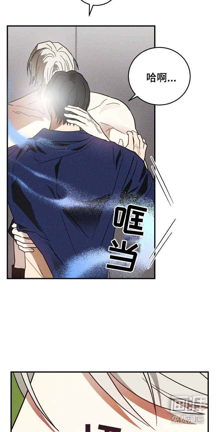 第13章：信息素