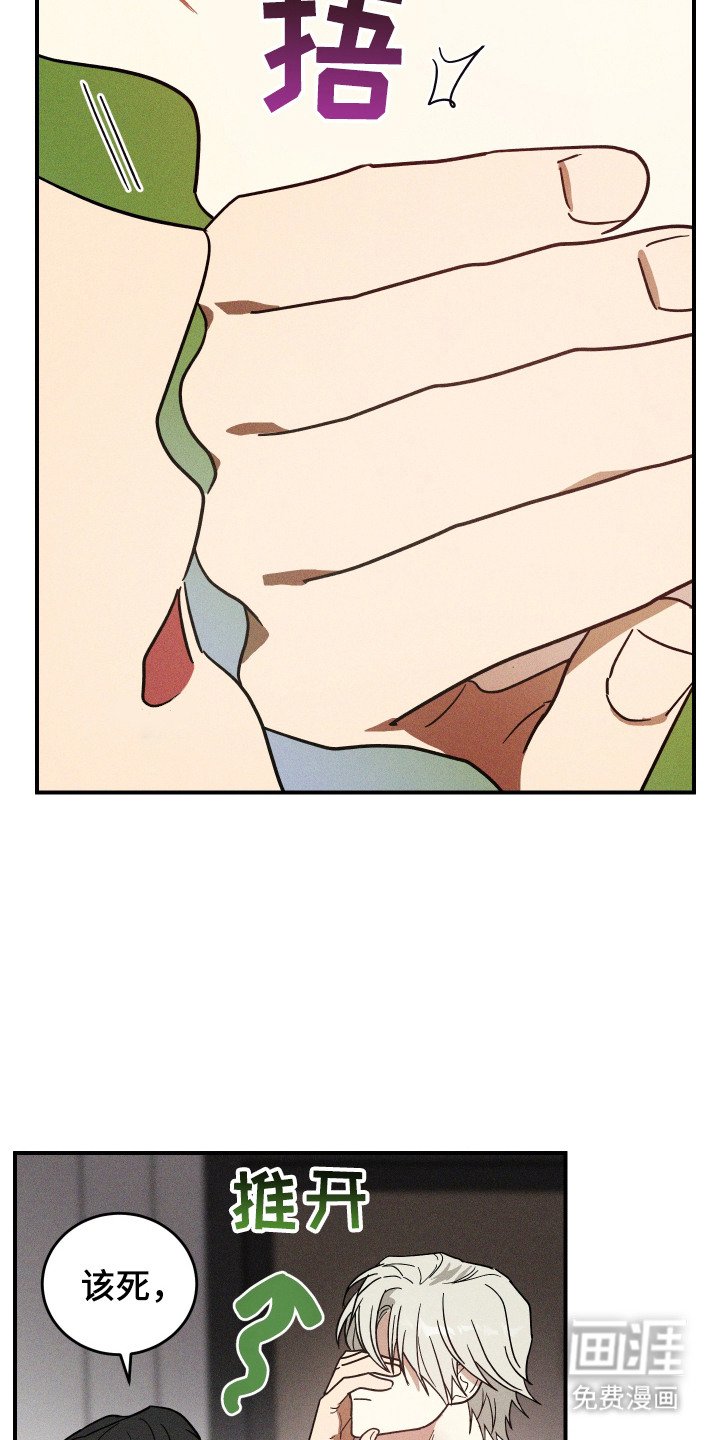 第13章：信息素