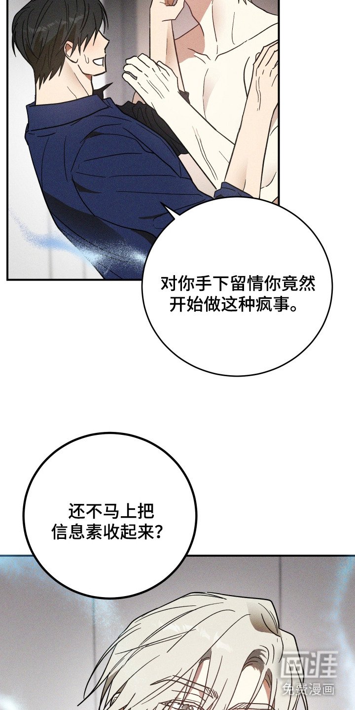 第13章：信息素