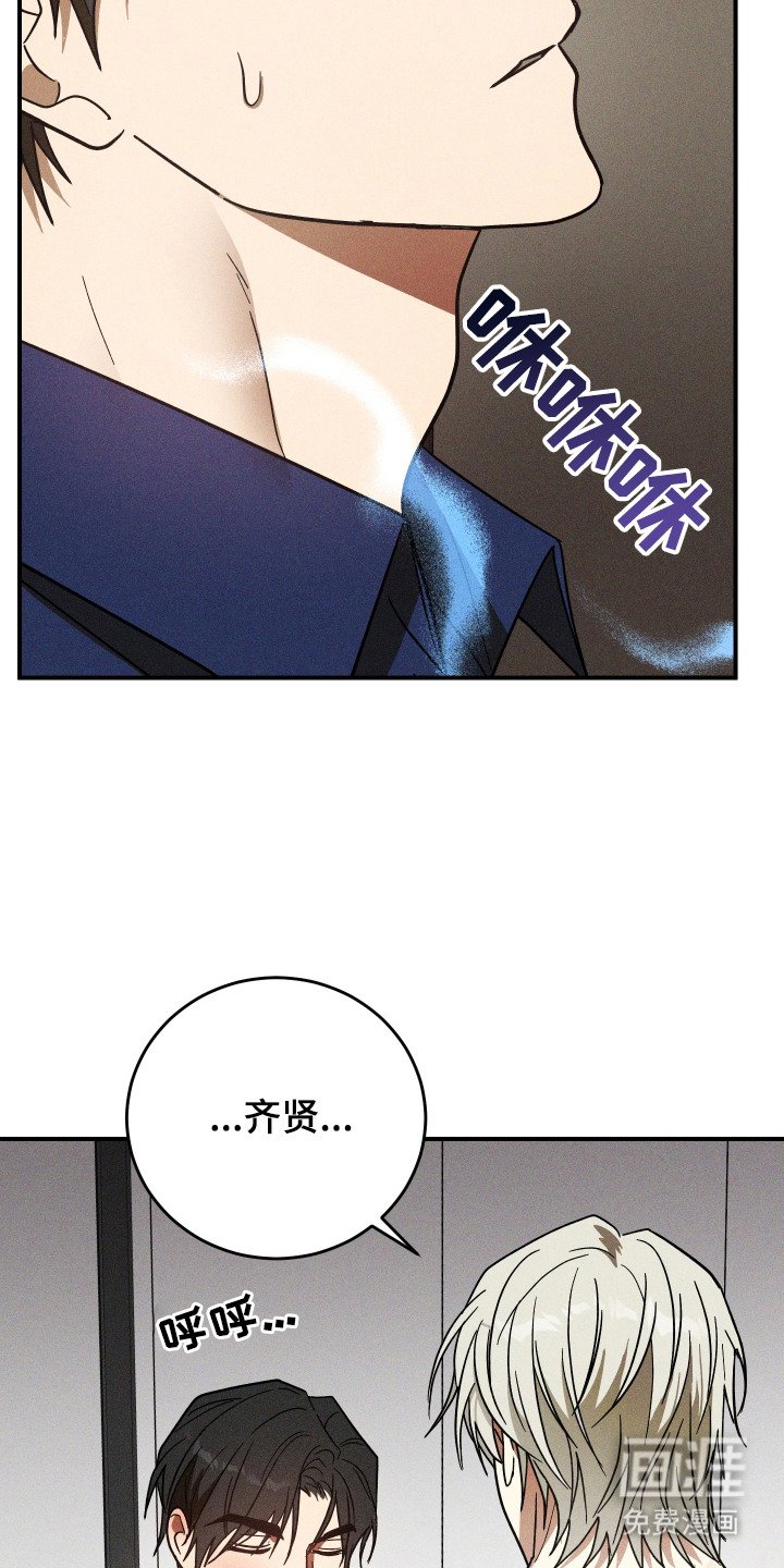 第13章：信息素