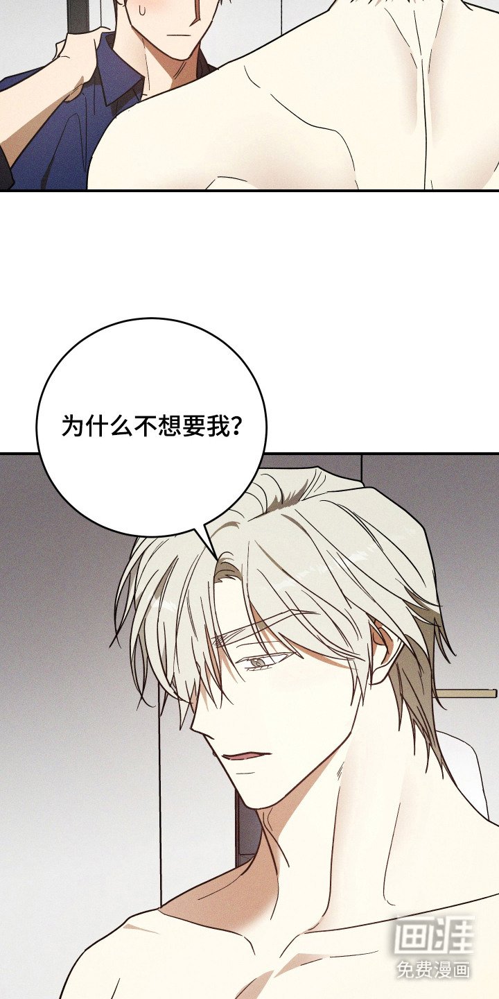 第13章：信息素
