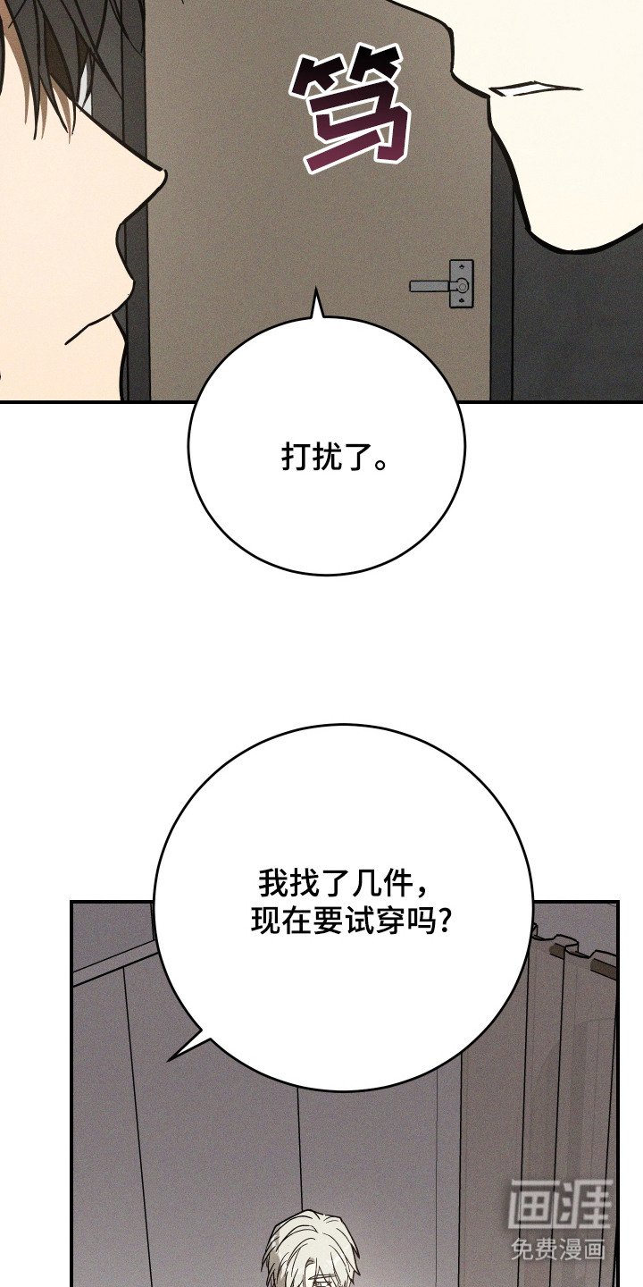 第13章：信息素