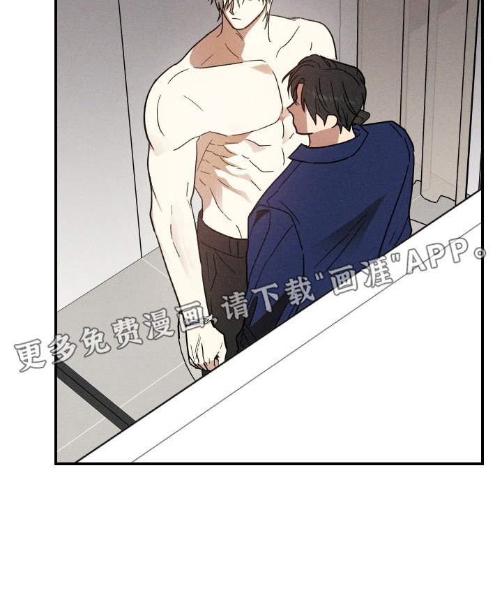 第13章：信息素
