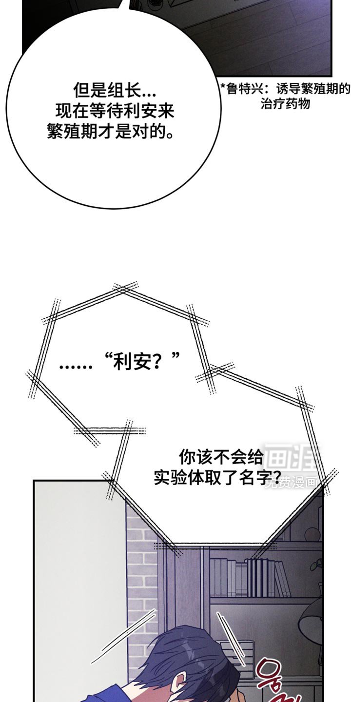 第16章：记住你的本分