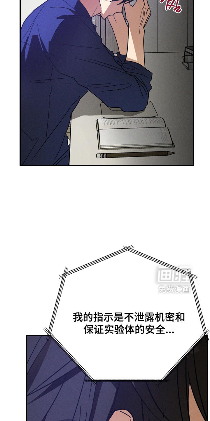 第16章：记住你的本分