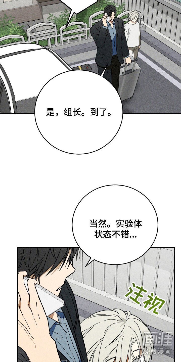 第3章：名字