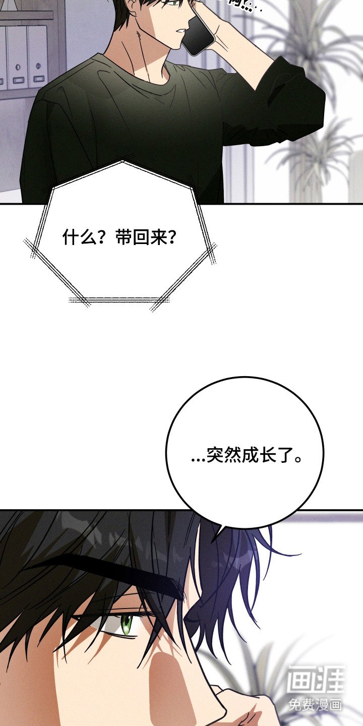 第5章：汇报情况