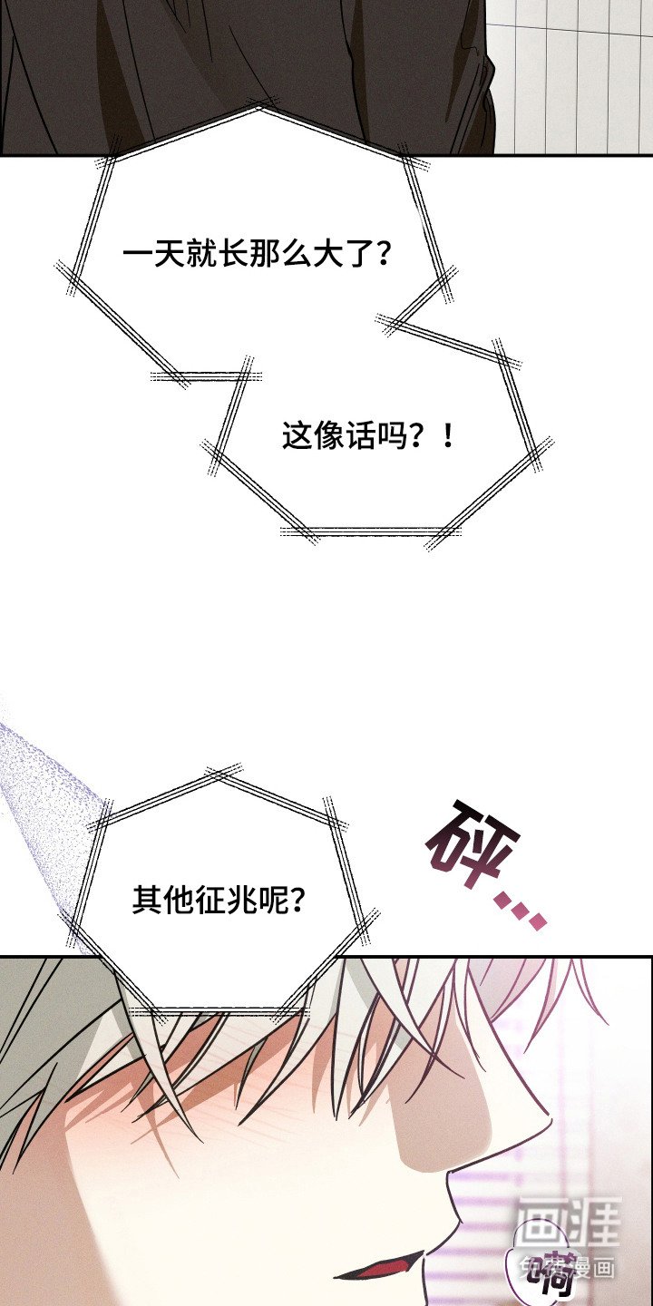 第5章：汇报情况