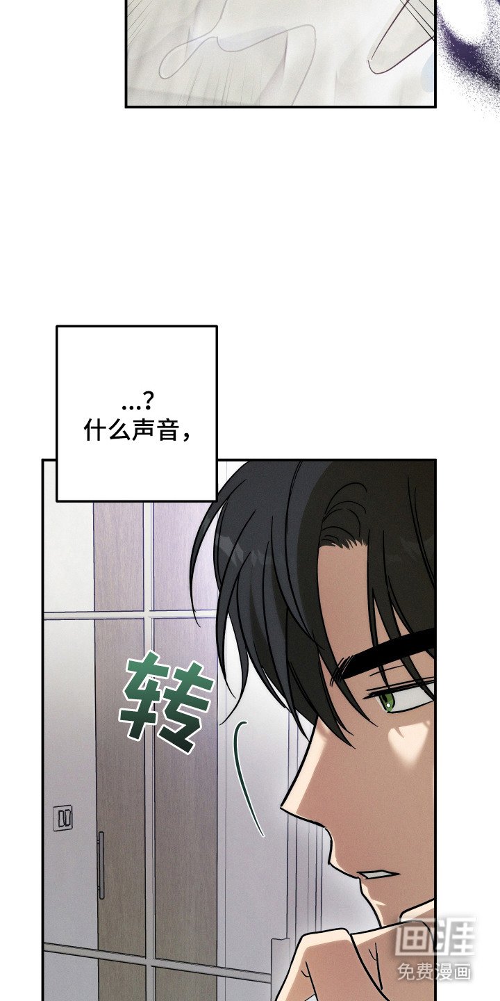 第5章：汇报情况