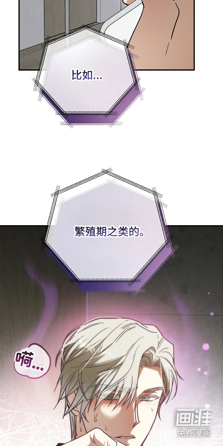 第5章：汇报情况