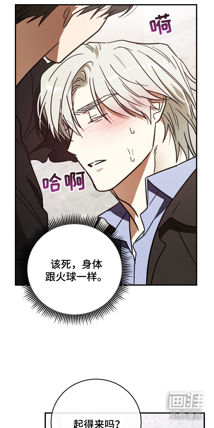 第6章：发热期