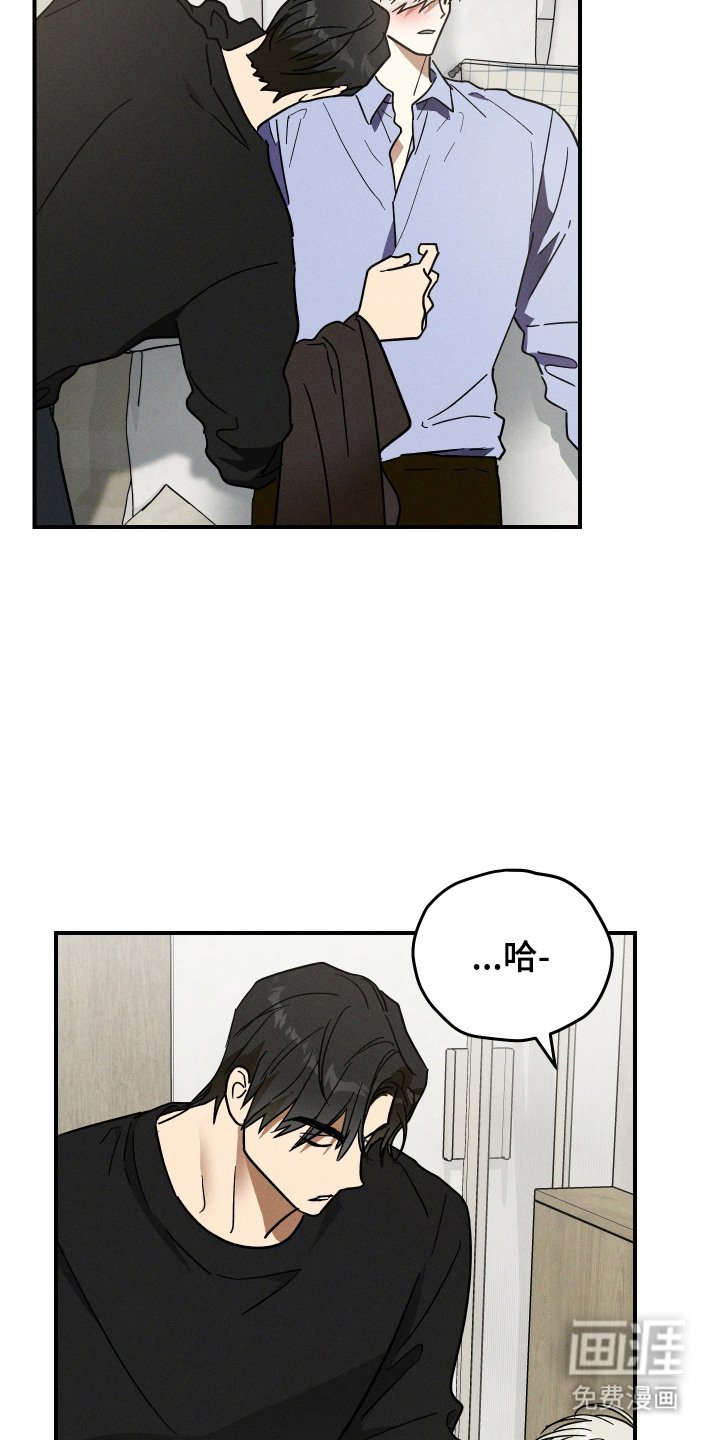 第6章：发热期
