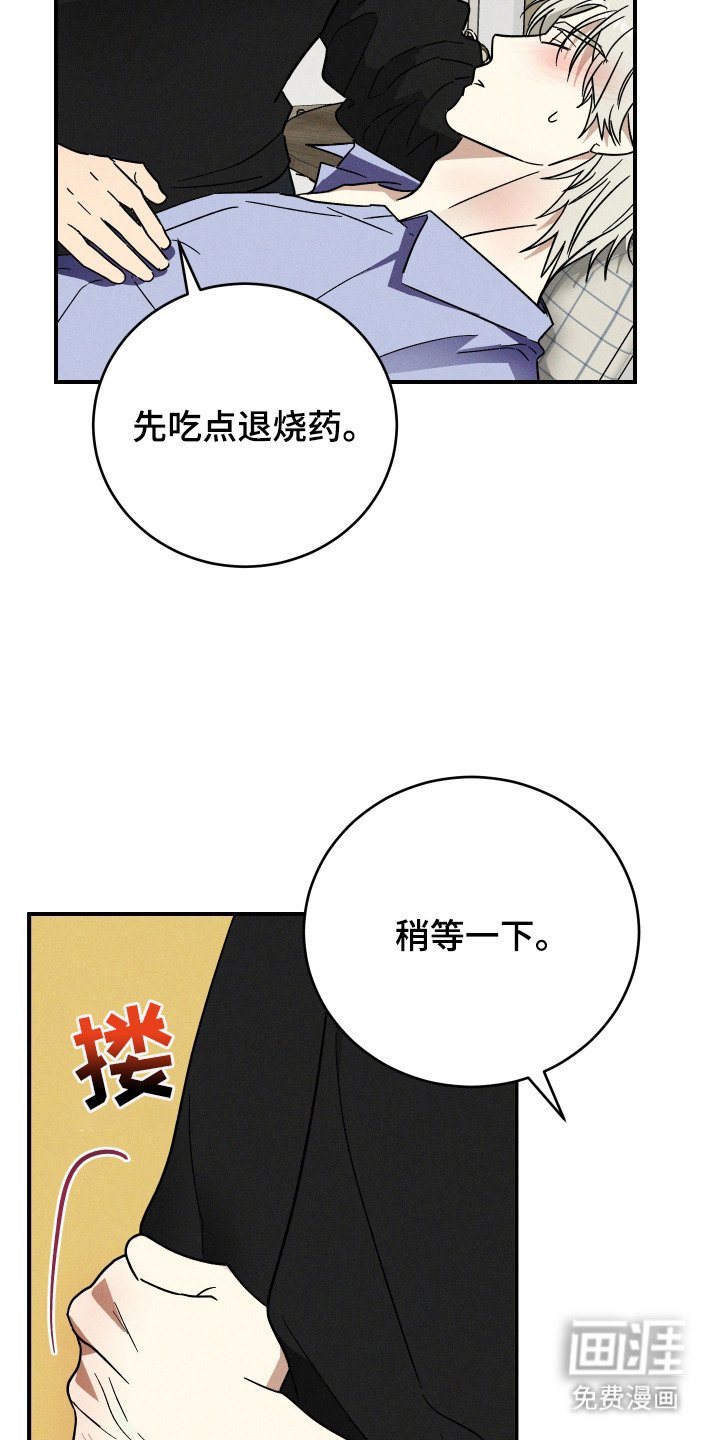 第6章：发热期