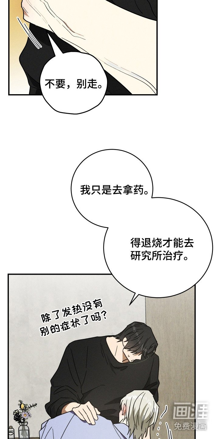 第6章：发热期