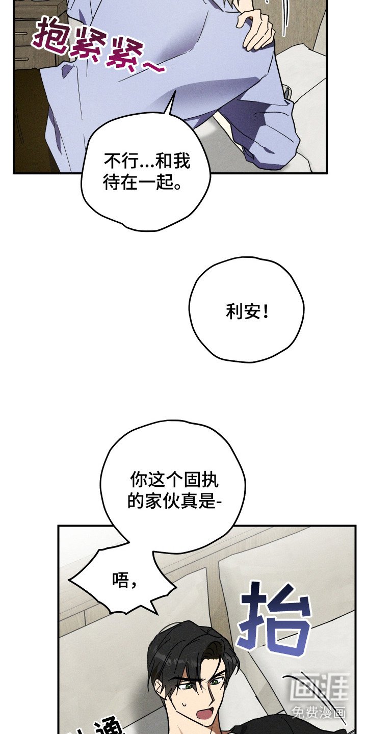第6章：发热期