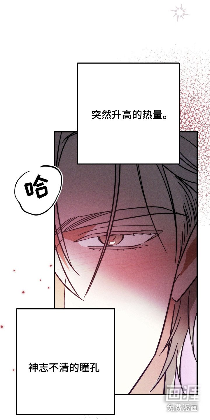 第6章：发热期