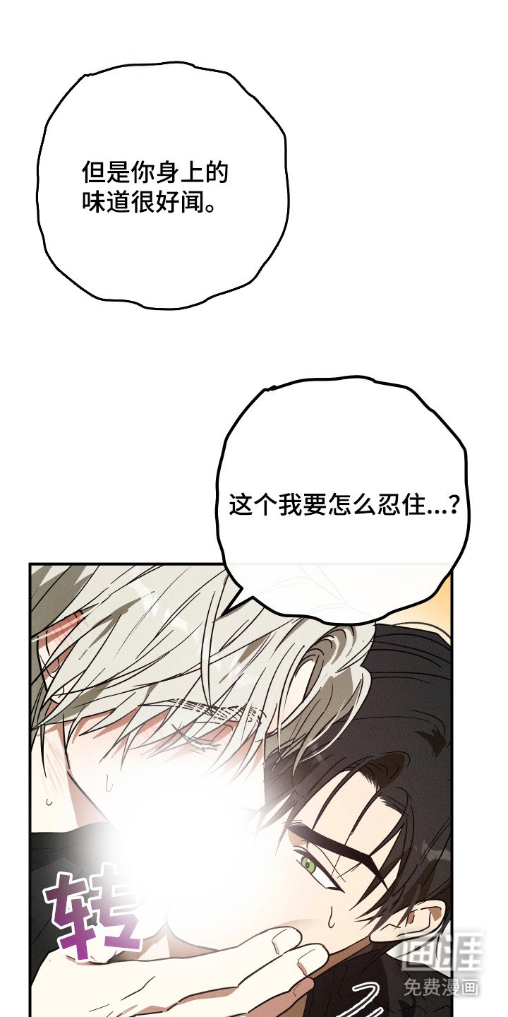 第7章：应对方法
