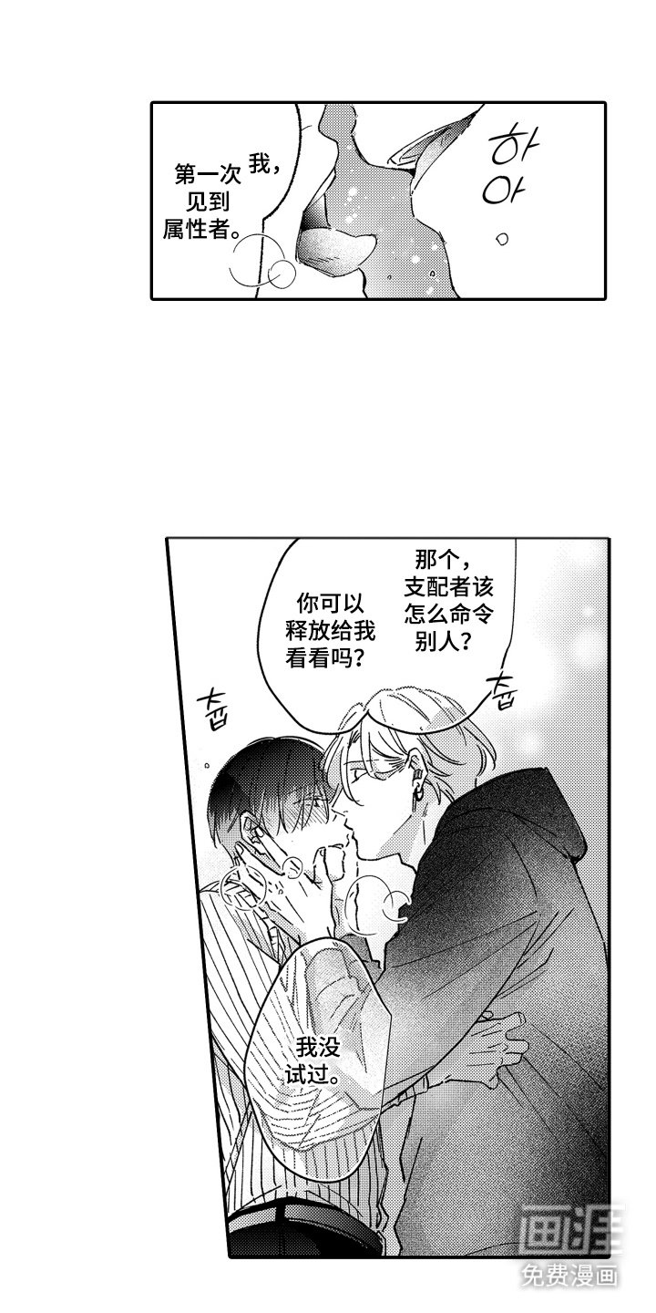 第3章：没有任何效果