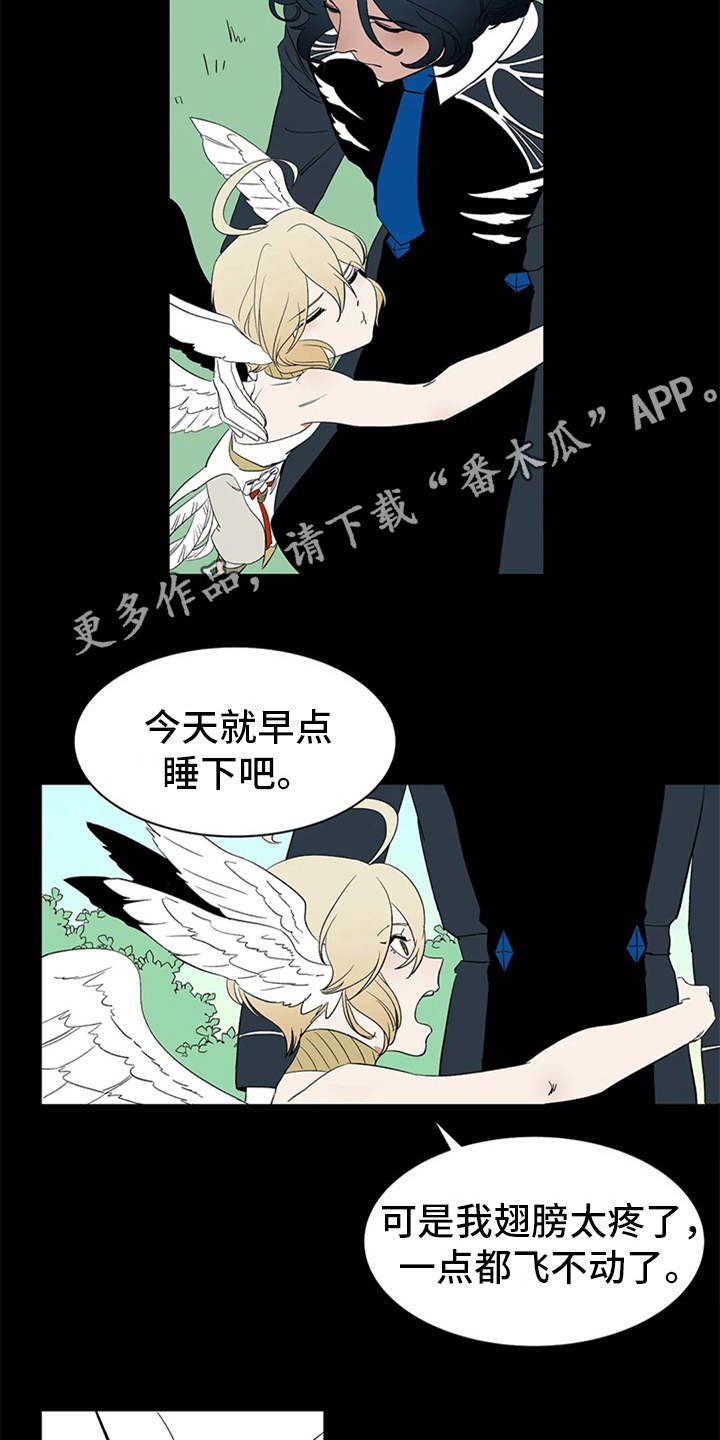 第12章：不见了