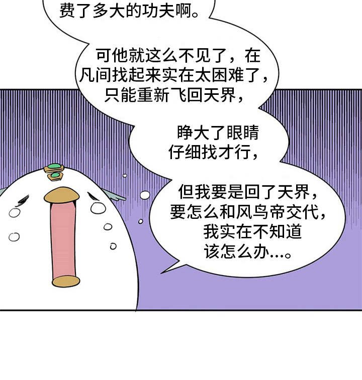 第13章：求助