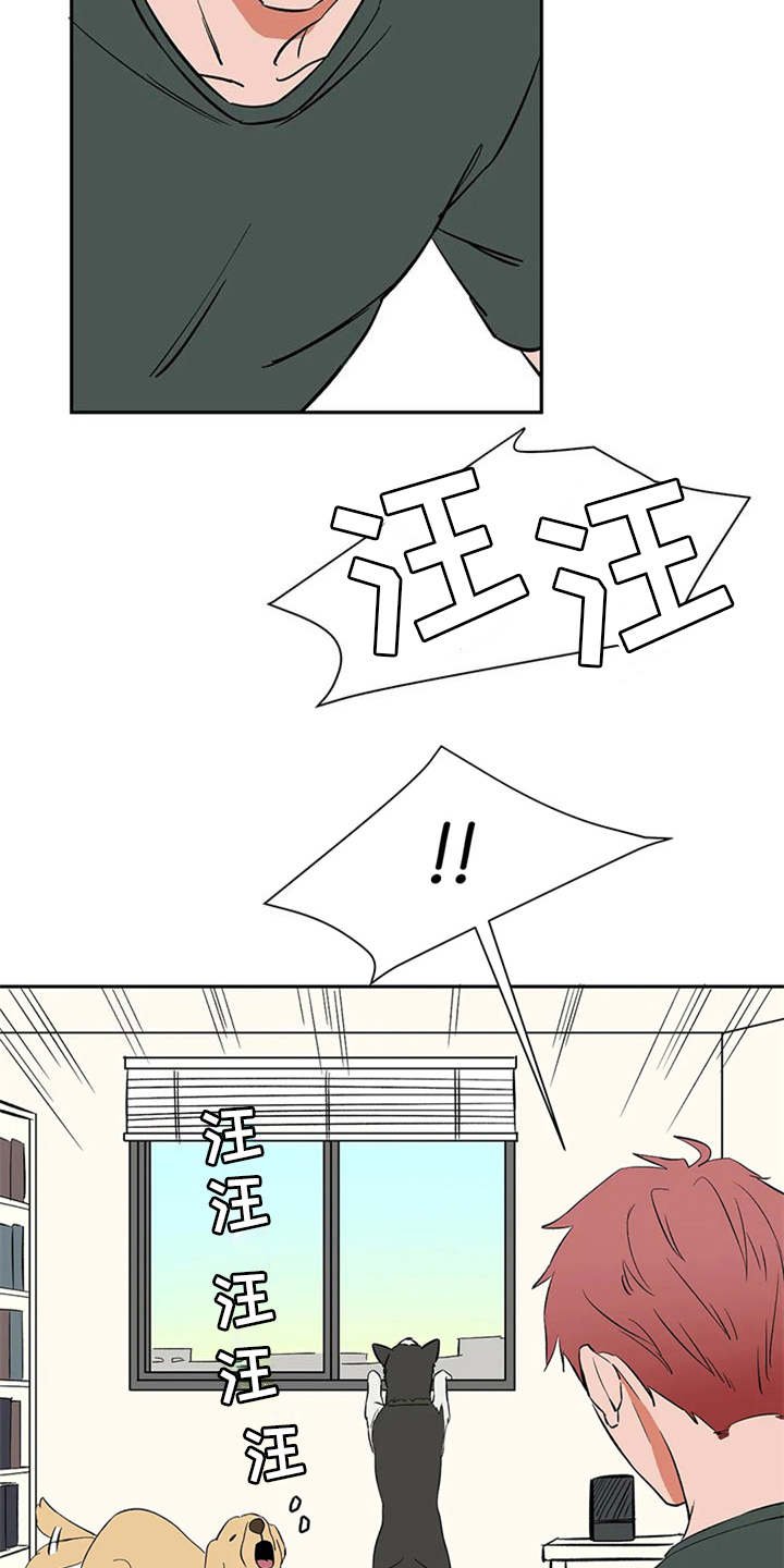 第14章：找上门