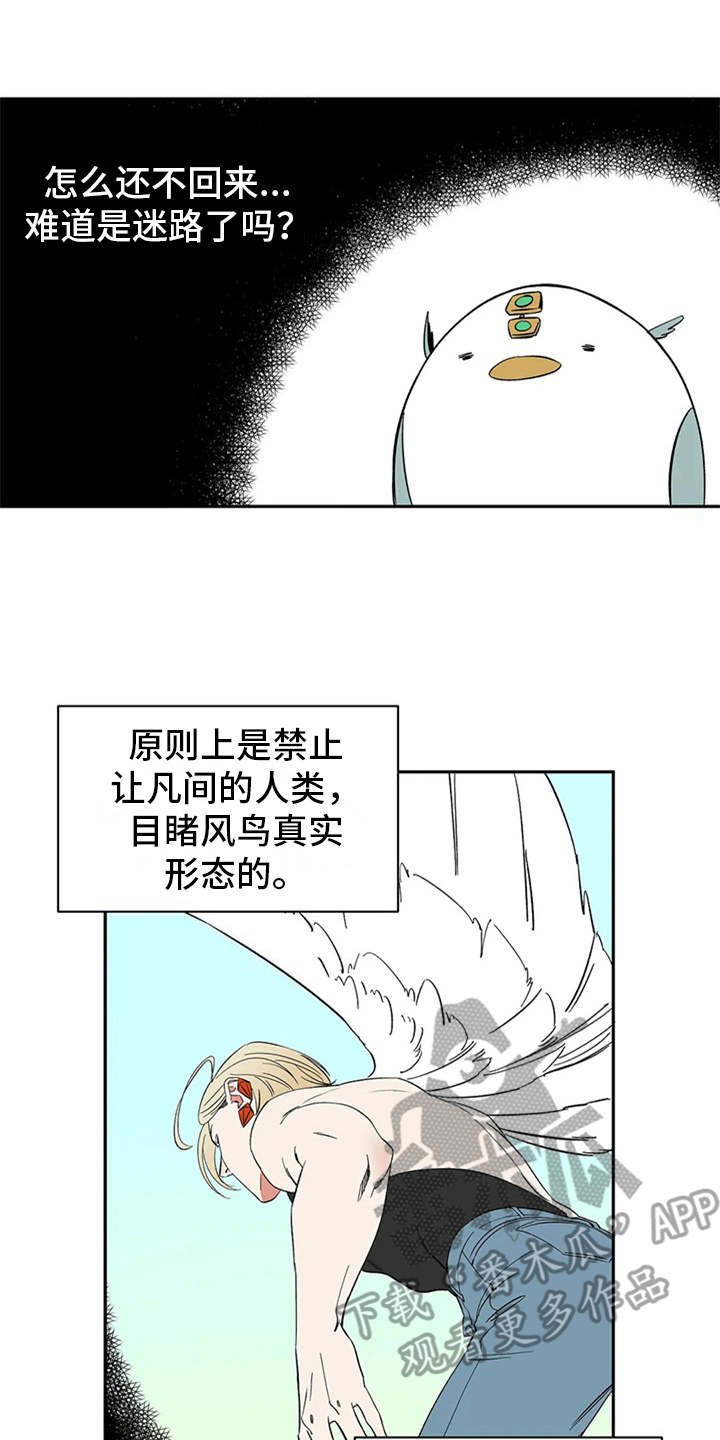 第16章：自由翱翔