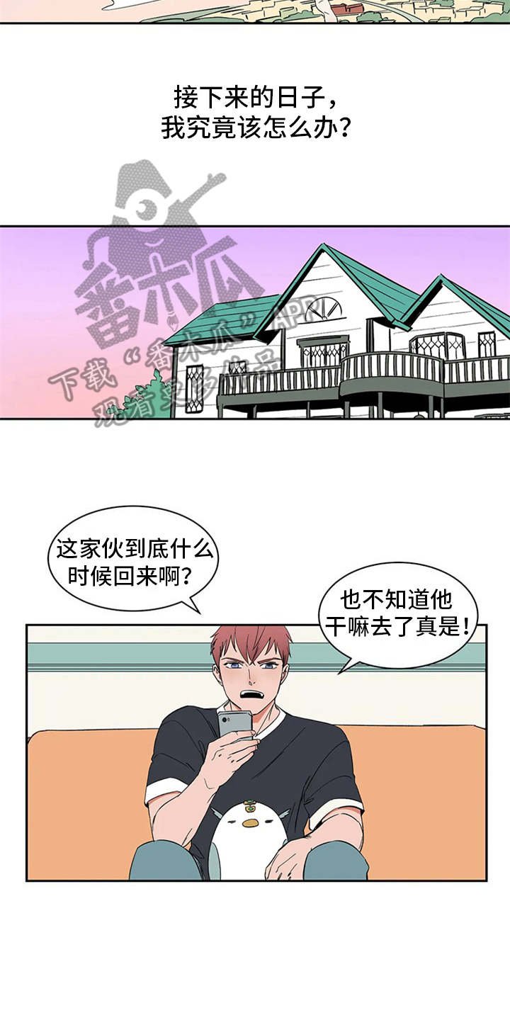 第16章：自由翱翔