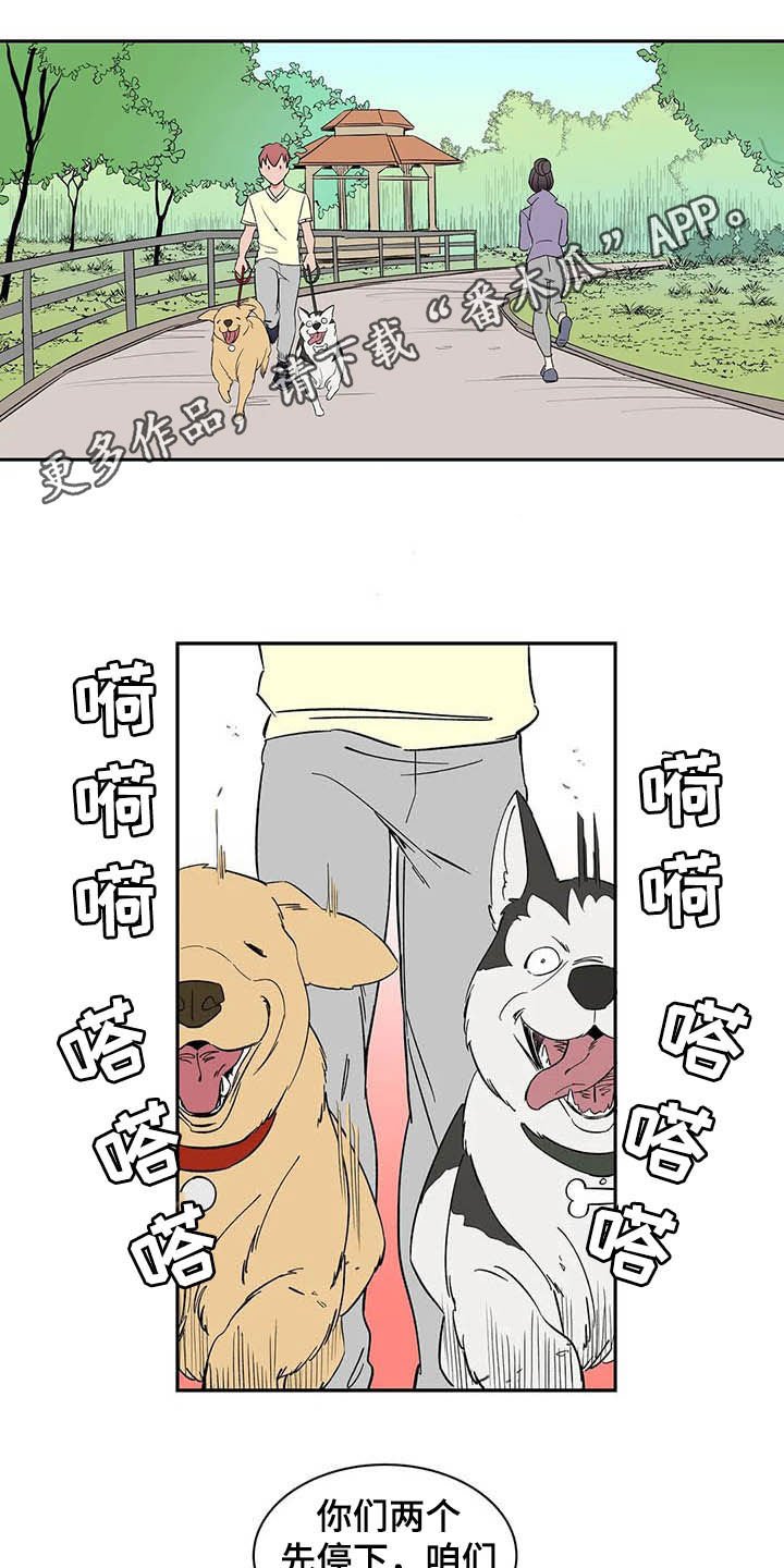 第20章：不许看！