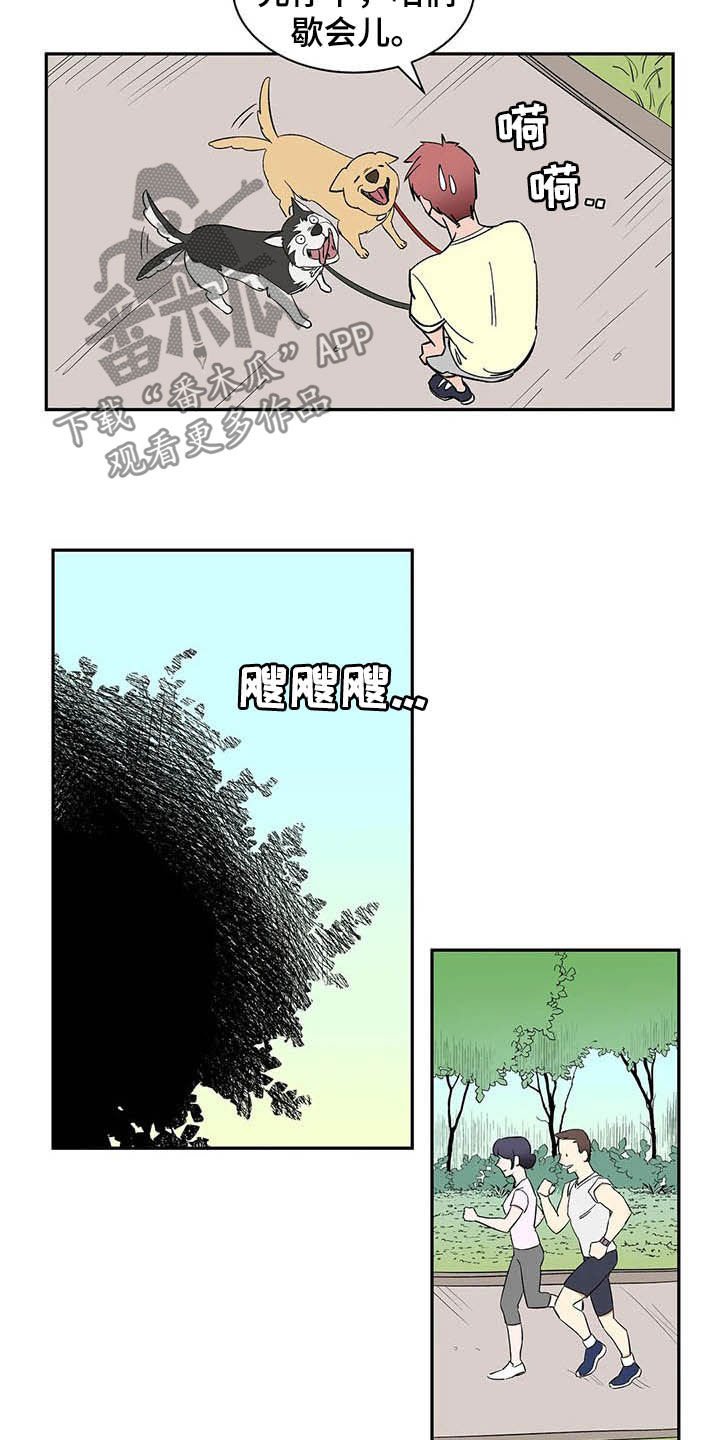 第20章：不许看！